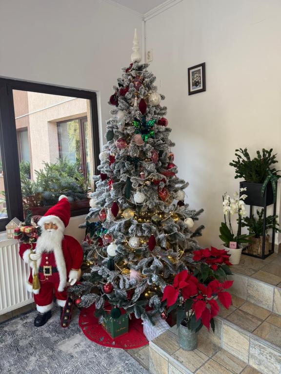 Fotografie z fotogalerie ubytování Pensiunea Zimbrul v destinaci Poiana Brašov