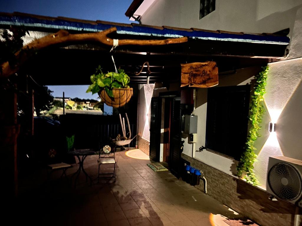 B&B Ginepro blu في بورتوسكوسو: شرفة مع نبات في سلة معلقة