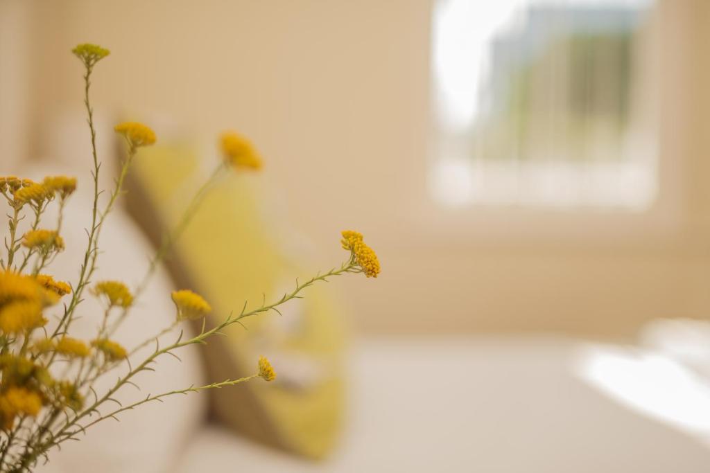 Un mazzo di fiori gialli in un vaso di Charming Historic Home in Central Stellenbosch a Stellenbosch