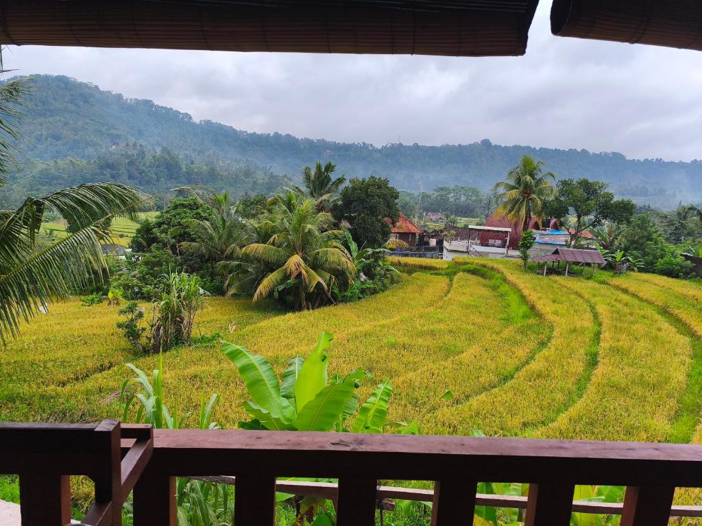 Manuk Dewata Villa - 11