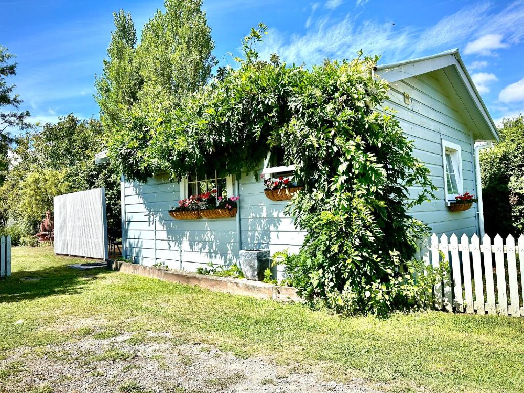 Zahrada ubytování The Brambles