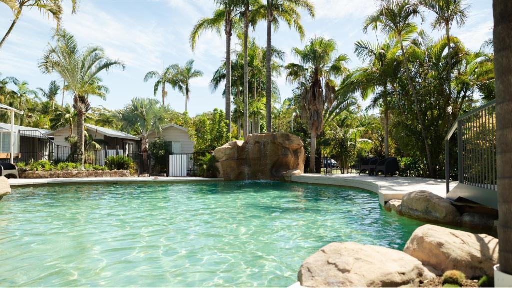 a swimming pool with a waterfall in a yard with palm trees at Koala Shores Holiday Park in Lemon Tree Passage