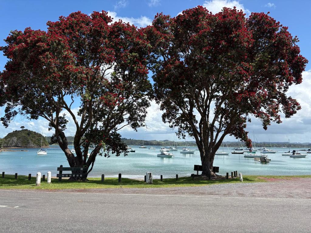 two trees on the side of a river with boats at Tuis Nest, family beach bach at Opito Bay in Kerikeri