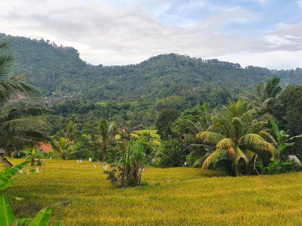 Manuk Dewata Villa - 10