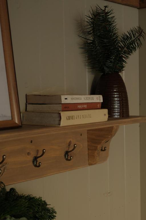 Knihovna v apartmánu