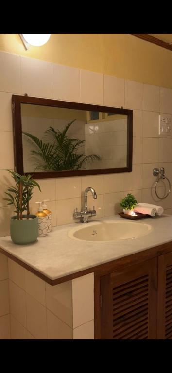Un mostrador de baño con un lavabo y un espejo. en Tuckedinn home, en Shillong