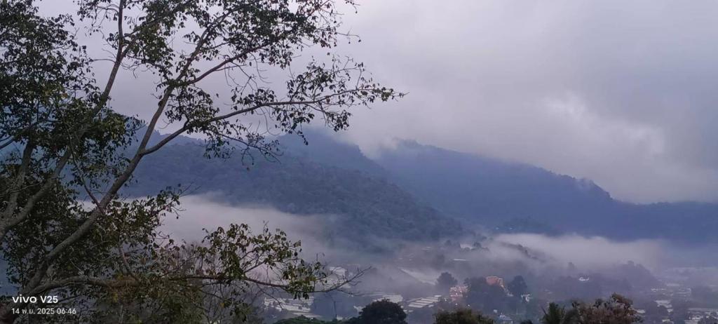 une montagne brumeuse avec une ville en arrière-plan dans l'établissement Camelliana Horizon Pongyang, à Mae Rim