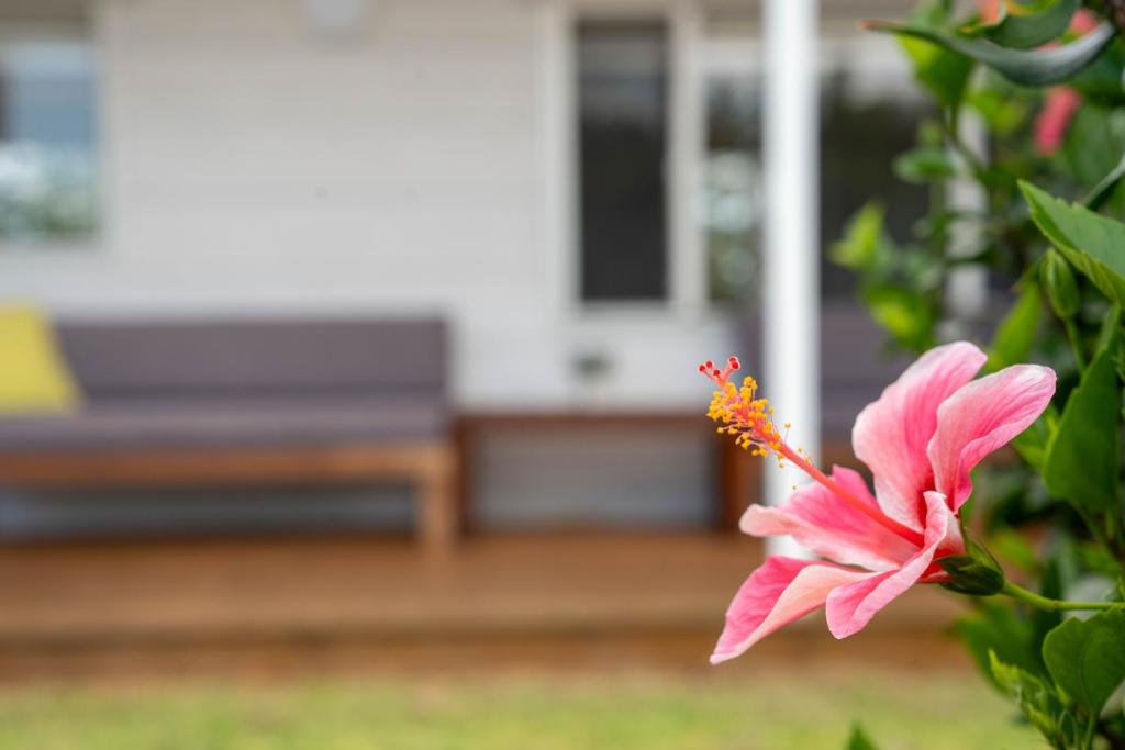 Κήπος έξω από το Rise