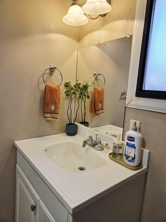 Harmony House Homestay photo