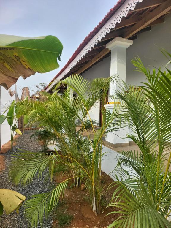 a house with palm trees in front of it at REWOGA Gaia Resort - Luxury Rooms with Open-Air Shower in Arambol
