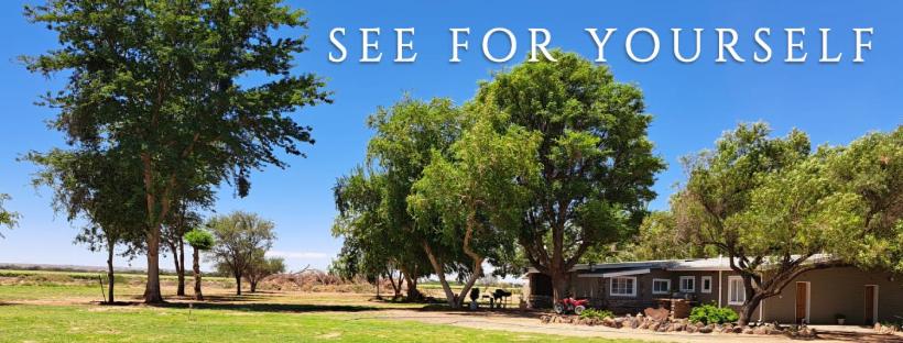 Una casa en un campo con árboles y las palabras mira por ti mismo en Koha Guesthouse, en Mariental