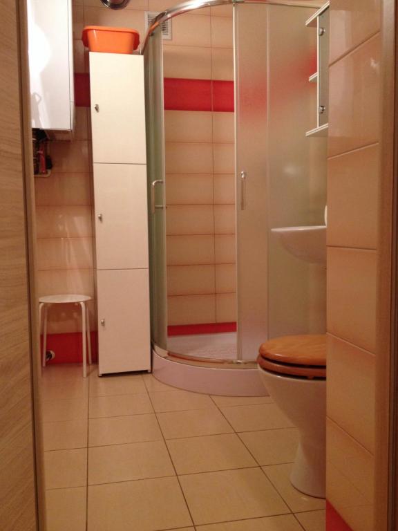 a bathroom with a toilet and a glass shower at Apartament Szklarka6 in Szklarska Poręba