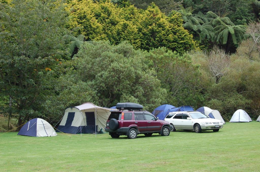 Egmont Eco Leisure Park & Backpackers - Resim 24