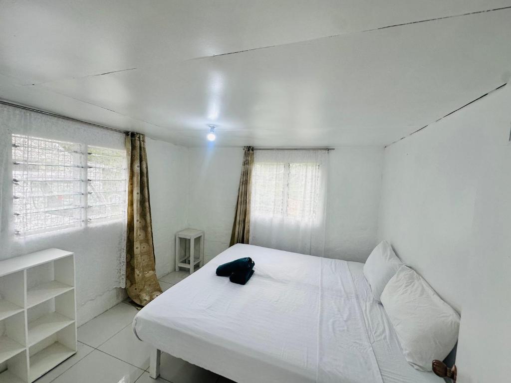 Ένα ή περισσότερα κρεβάτια σε δωμάτιο στο Private Double Room - Tonga Coral Cottage