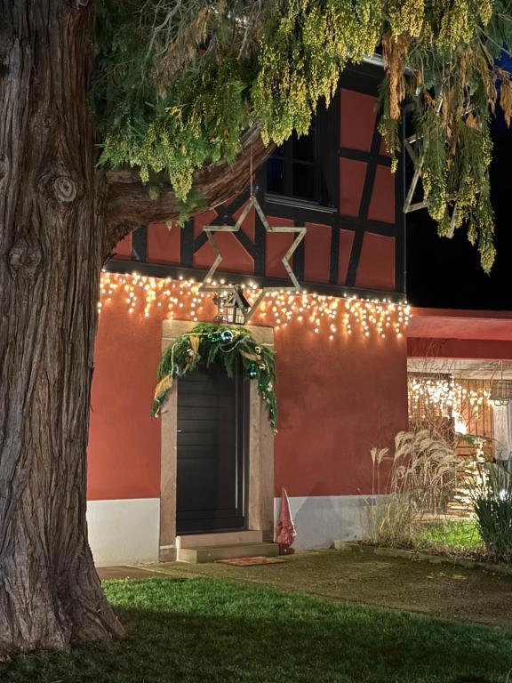 Zahrada ubytování Le Parc du Séquoia & SPA proche Colmar et Riquewihr