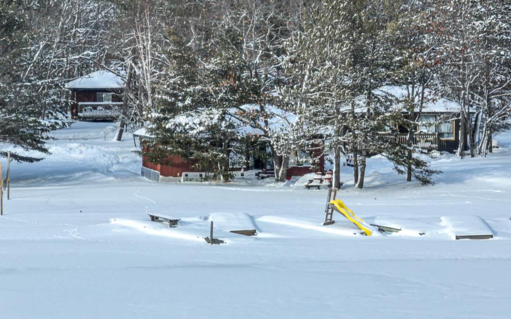 un cortile coperto da neve con alberi e una casa di Lakefront Studio Cottage #7 a Dillon