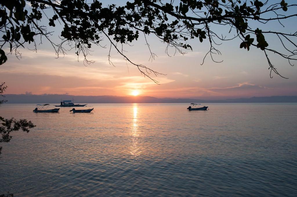 a group of boats on the water at sunset at Polaris Beach and Dive Resort Inc in Loon