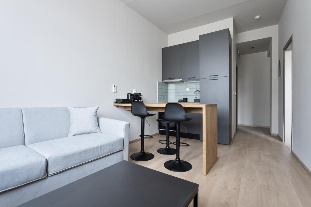 Metropolitan Minimal Loft