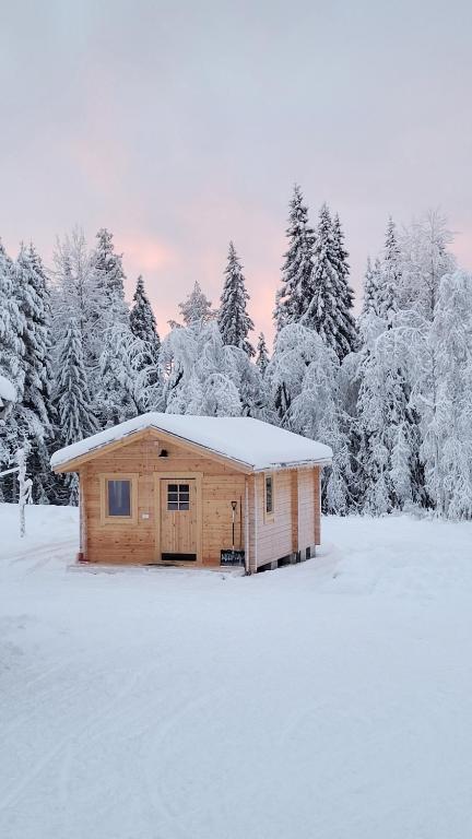 a wooden cabin in a snow covered field with trees at Webers Tiny House in Rentjärn