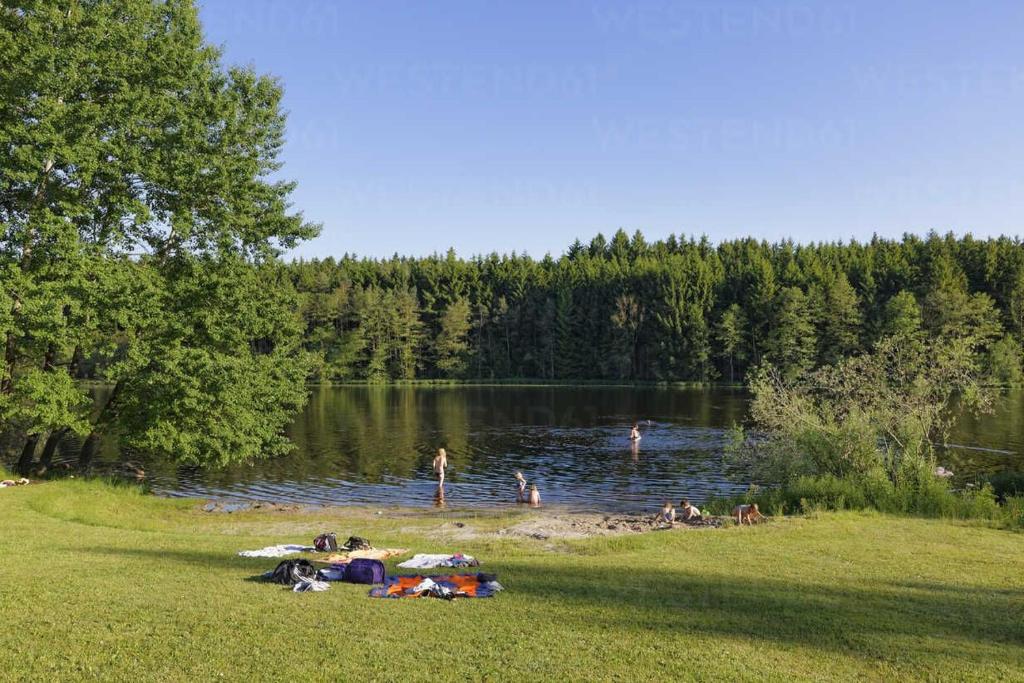 Naturlandskabet i nærheden af lejligheden