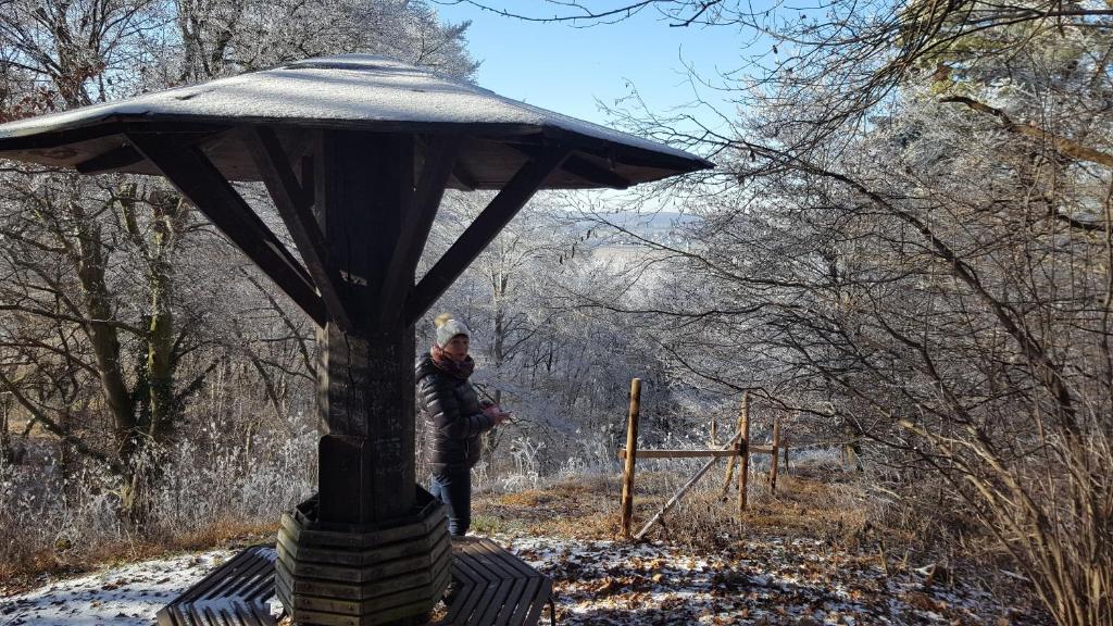 un uomo in piedi accanto a una struttura nella neve di Ferienwohnung Kugler a Grafrath