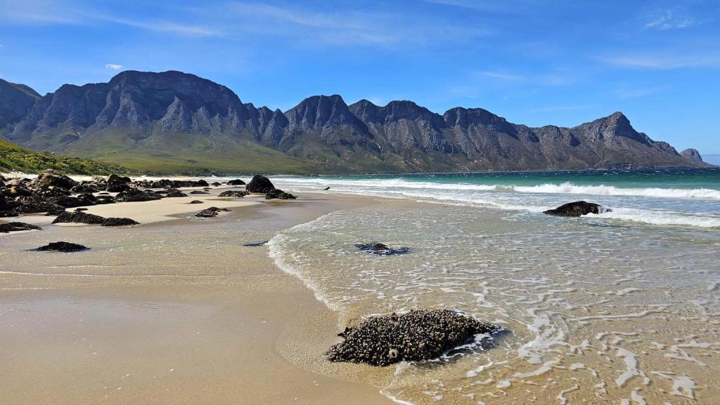 Φυσικό τοπίο κοντά σε αυτό το διαμέρισμα