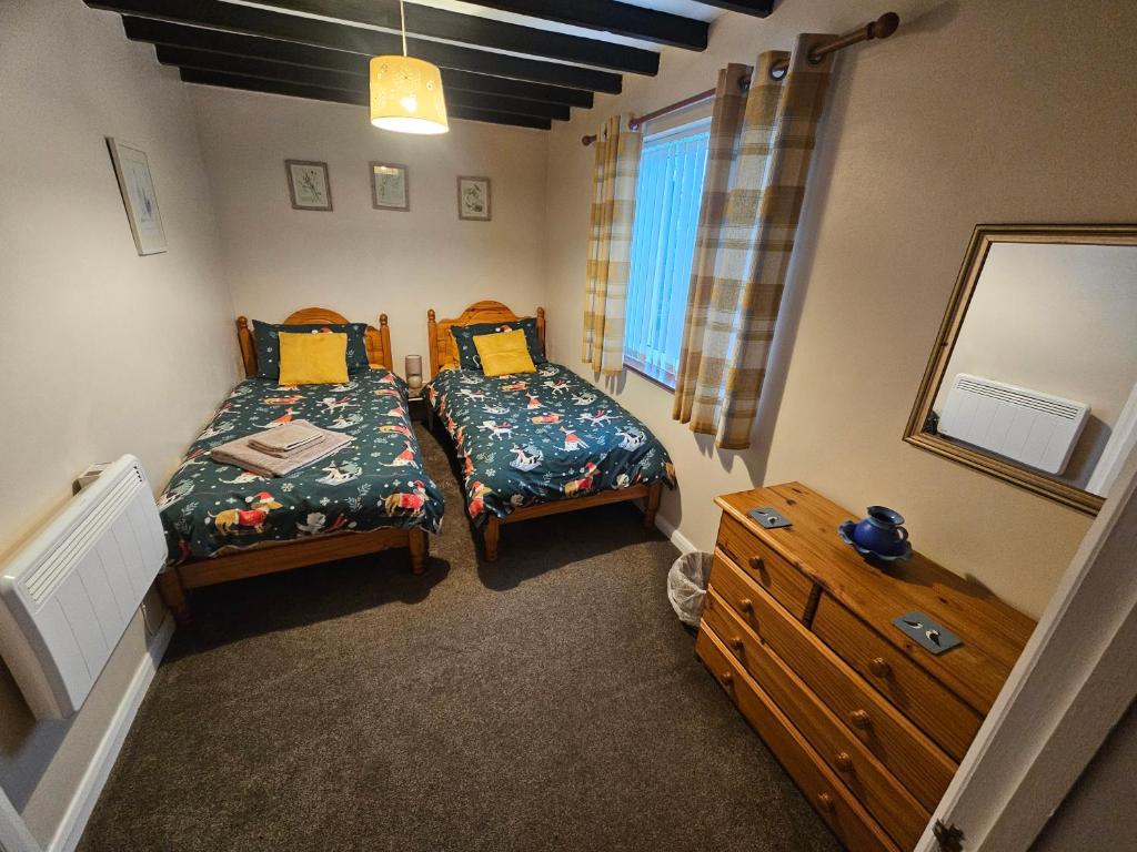 een slaapkamer met twee bedden, een ladekast en een spiegel bij Blaencwm Cottages in Boncath