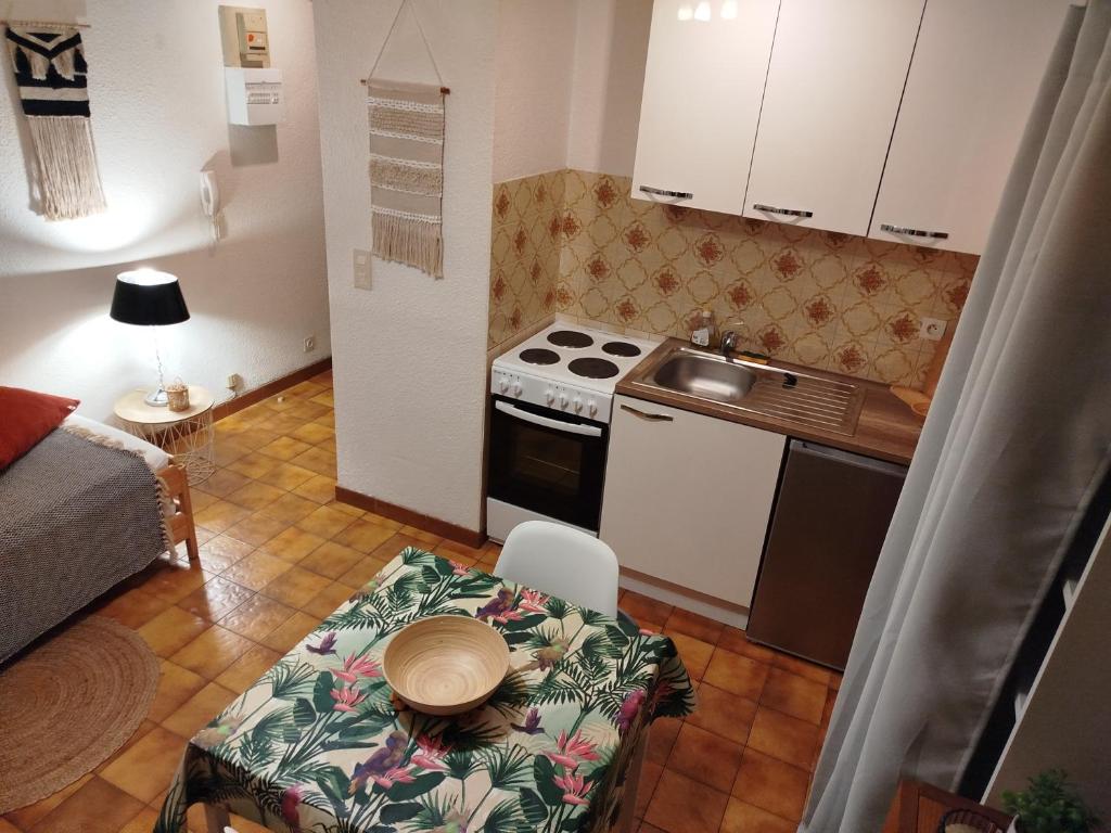 Кухня или мини-кухня в Studio en rez de jardin , vue montagne
