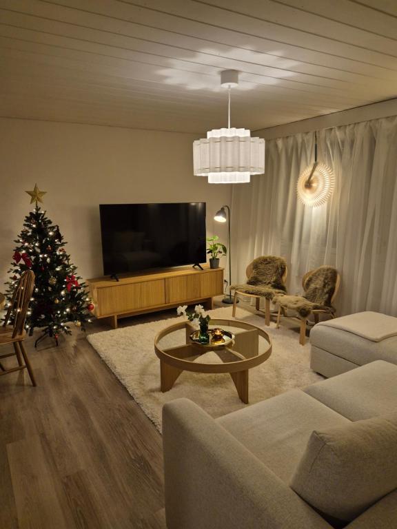TV a/nebo společenská místnost v ubytování Cozy Home at Rovaniemi