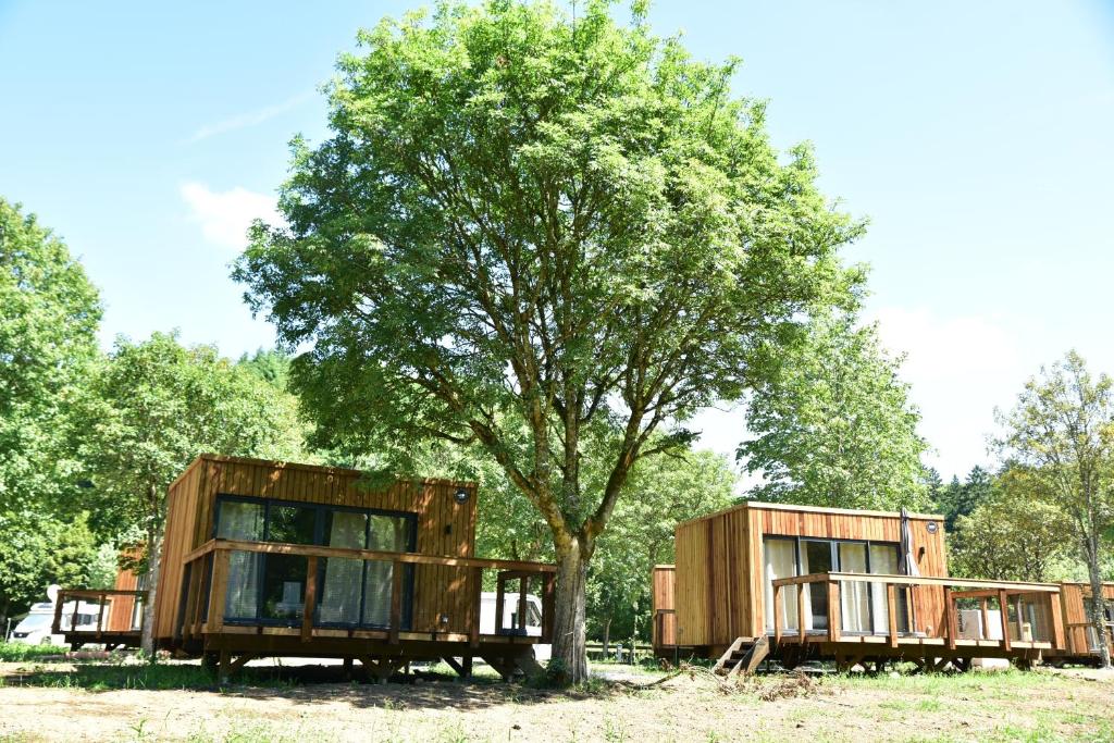 un gruppo di case modulari sotto un albero di Le Hameau de l'Ourthe Houffalize a Houffalize