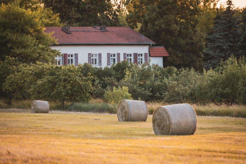 Fotografie z fotogalerie ubytování Privates Ferienhaus mit großem Garten v destinaci Rauen