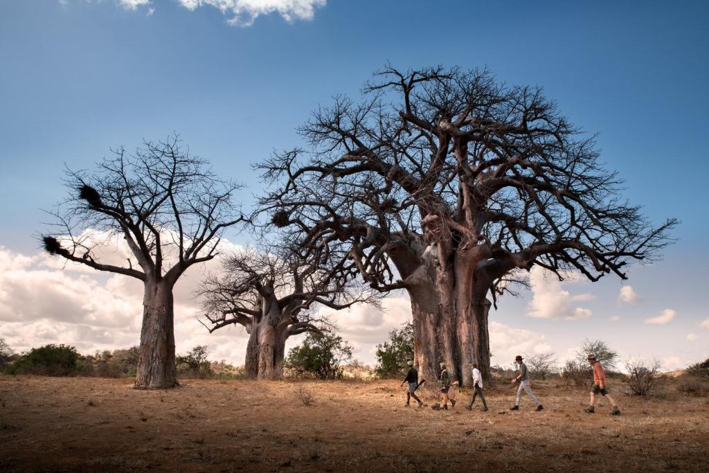 Příroda nedaleko kempu