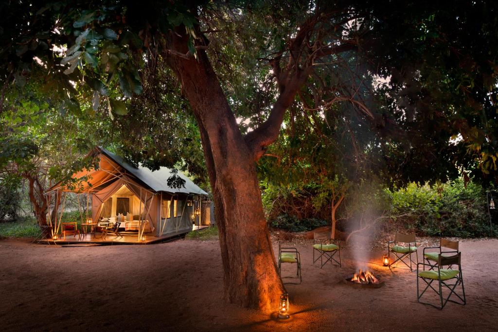 Zahrada ubytování Hutwini Camp - Pafuri Walking Safaris