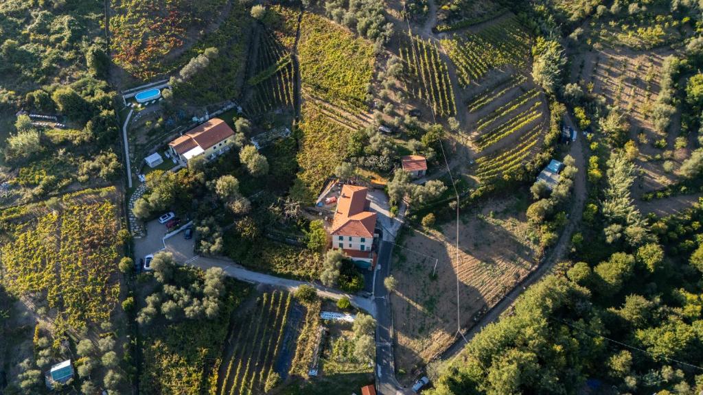 Letecký snímek ubytování Agriturismo La Collina Verde