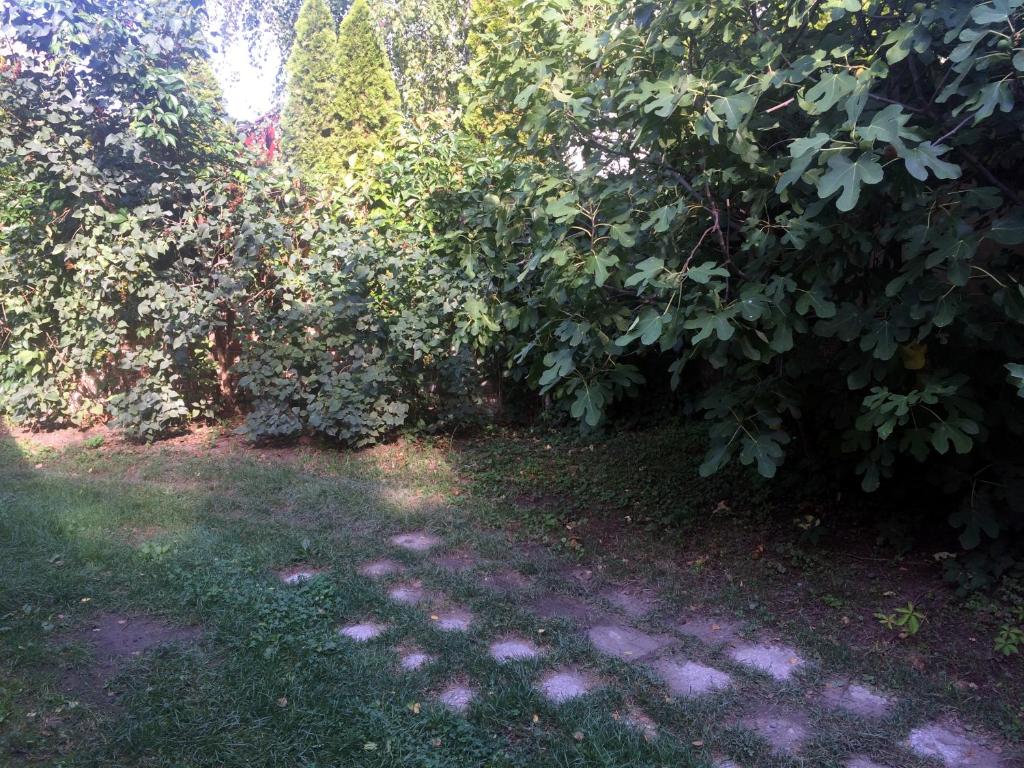 Vonkajšia záhrada v ubytovaní Rosmarinus Apartman