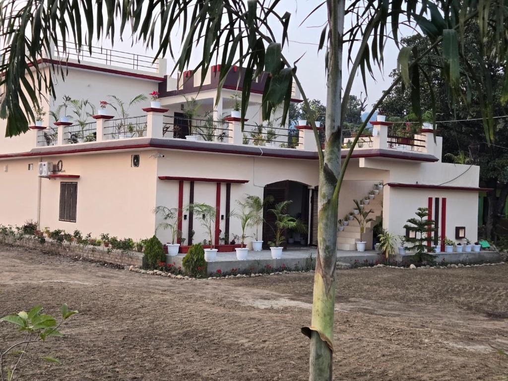 Jim Corbett Guest House في Jhirna: منزل أمامه نخلة