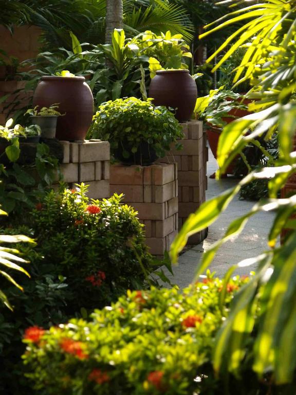 Safari Beach Hotel Patong - Resim 21