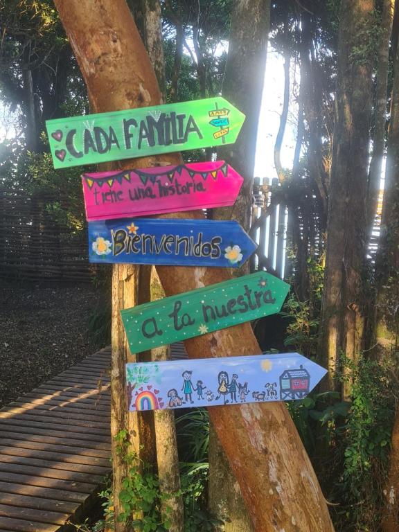 Cabañas Torre Huillinco