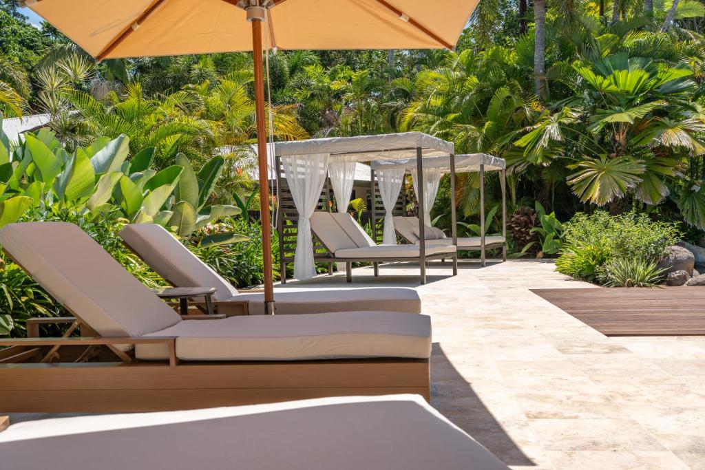 Nala Resort في ميشن بيتش: صف من الكراسي مع مظلات على الفناء