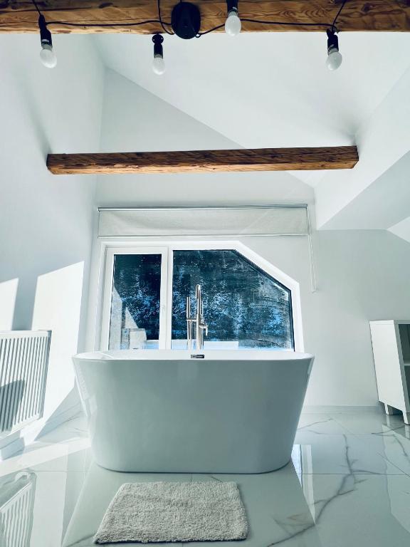 Φωτογραφία από το άλμπουμ του The W Villa σε Toplita