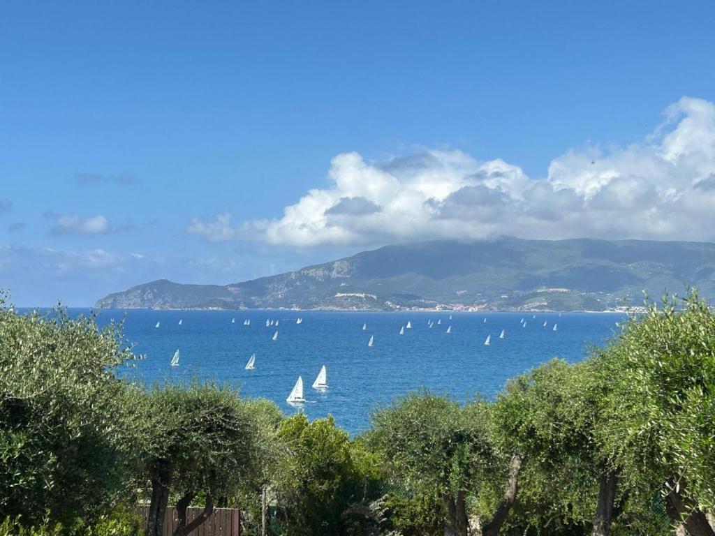 a group of sailboats on a large body of water at Terrazza sull Argentario in Ansedónia