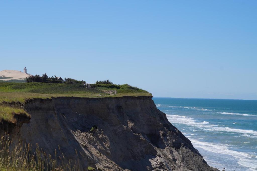 a cliff next to the ocean with trees on it at Lønstrup Apartments, Havtorn in Lønstrup