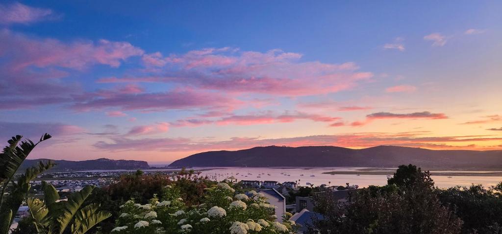 Příroda nedaleko vily