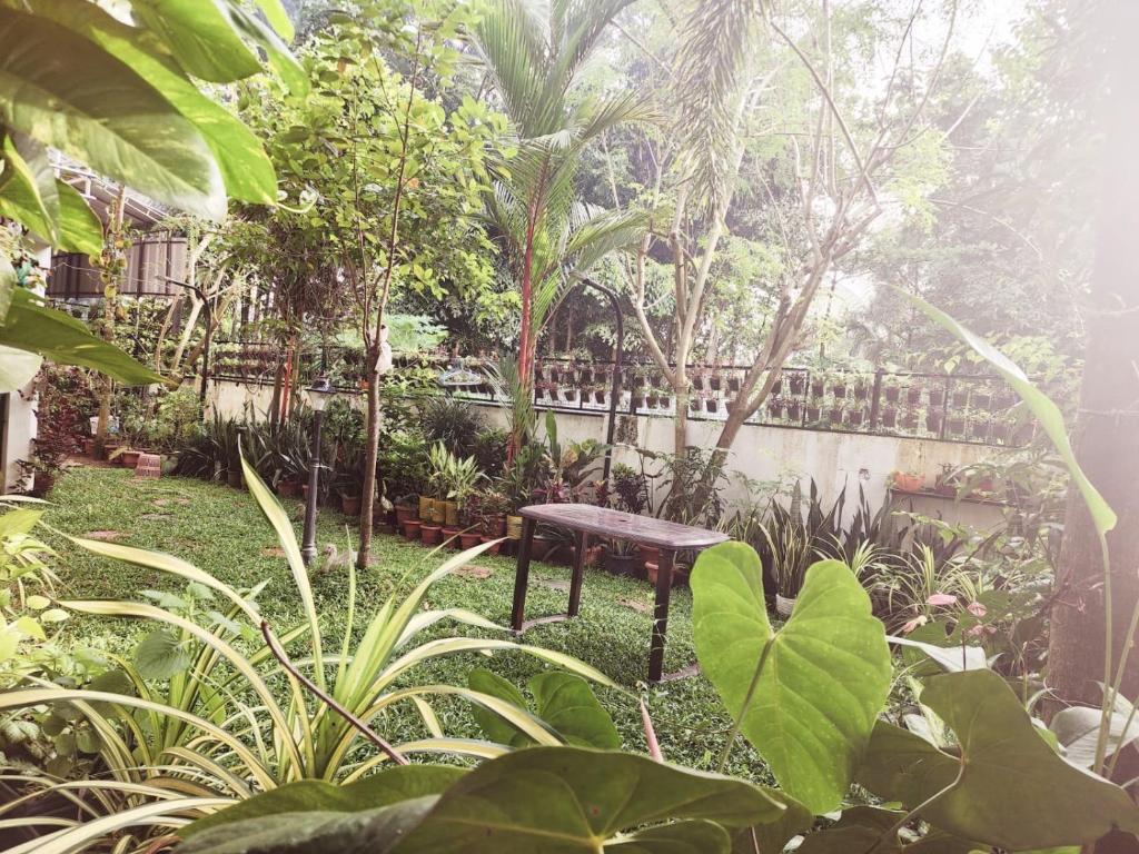 En have udenfor Cosy & homely full cottage