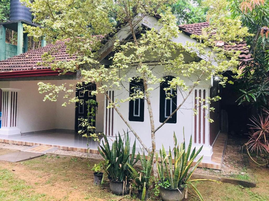 Κήπος έξω από το Madiha Dolamulla Gedara