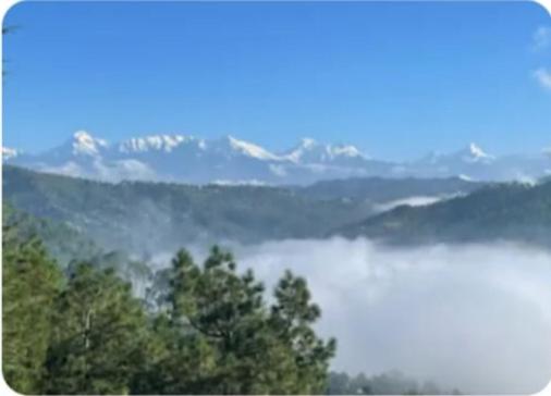 Naturlandskabet i nærheden af lejligheden