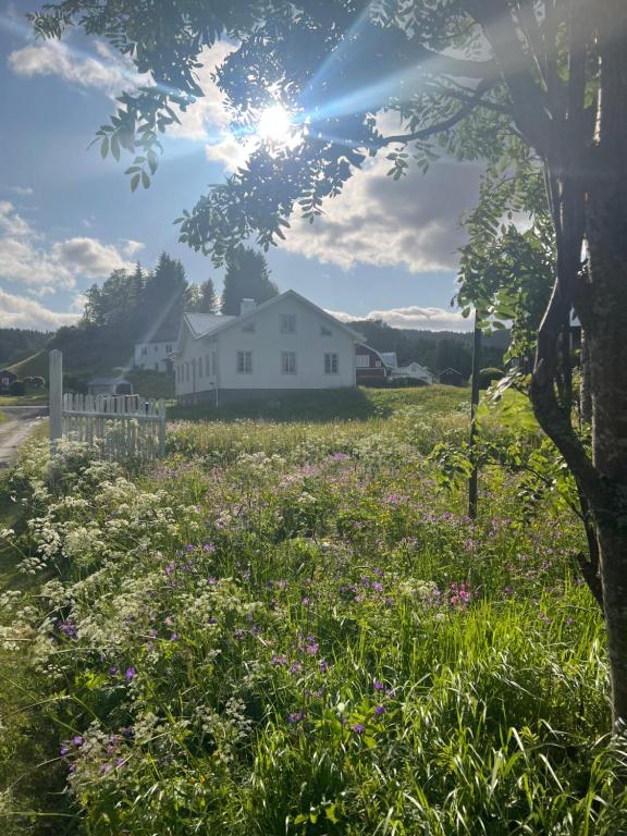 Φυσικό τοπίο κοντά σε αυτό το διαμέρισμα