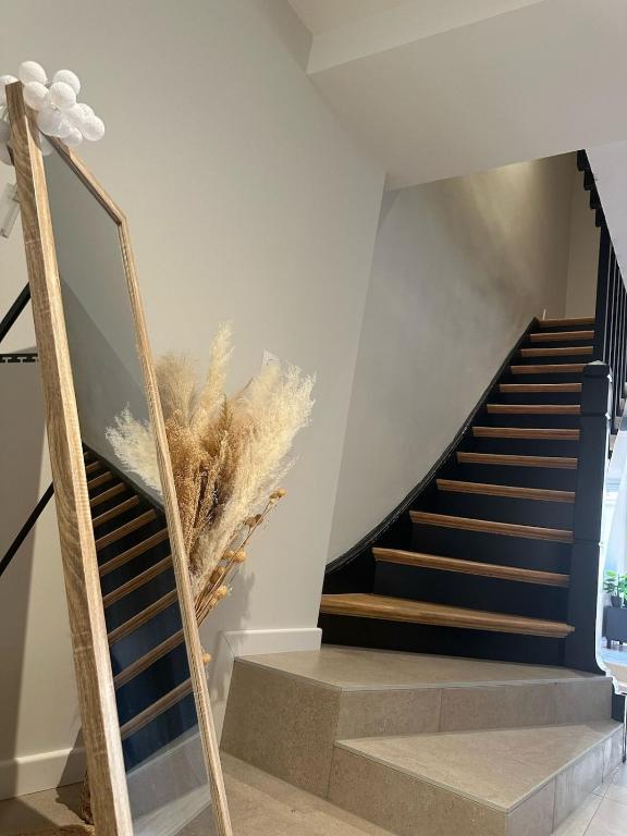 Maison du Bonheur, Mulhouse historic center – photo 13