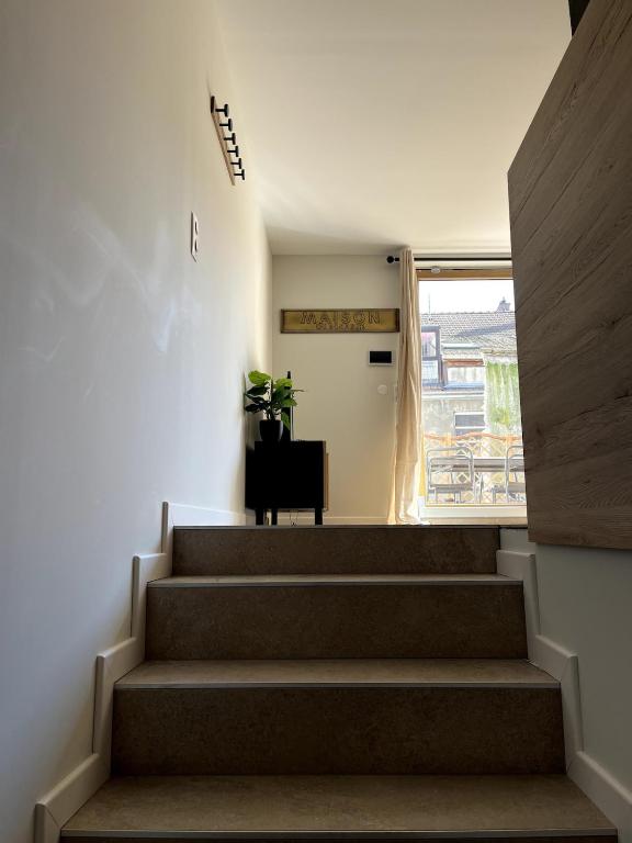 Maison du Bonheur, Mulhouse historic center – photo 15