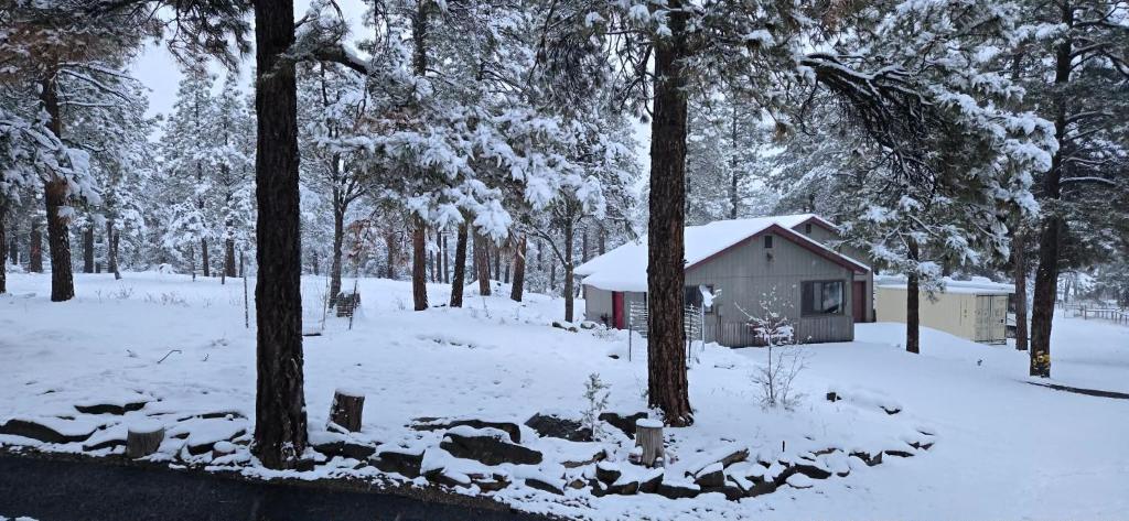 Το Psycle Ranch Retreat τον χειμώνα